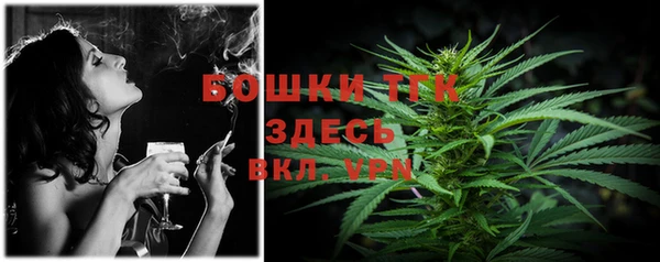 spice Абаза