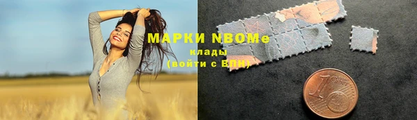 PSILOCYBIN Ладушкин