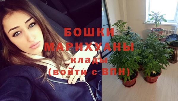 spice Абаза