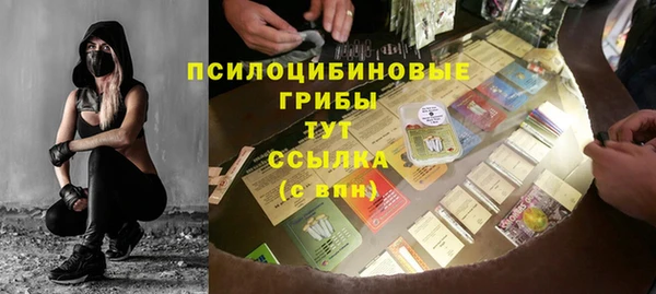 spice Абаза