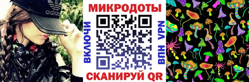 Галлюциногенные грибы Psilocybe  Алейск 